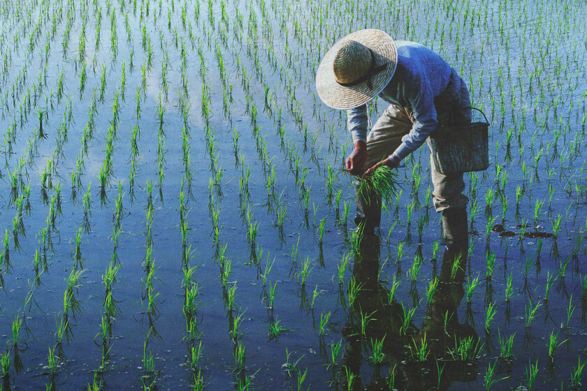 AgriTech platform farmer behavior research