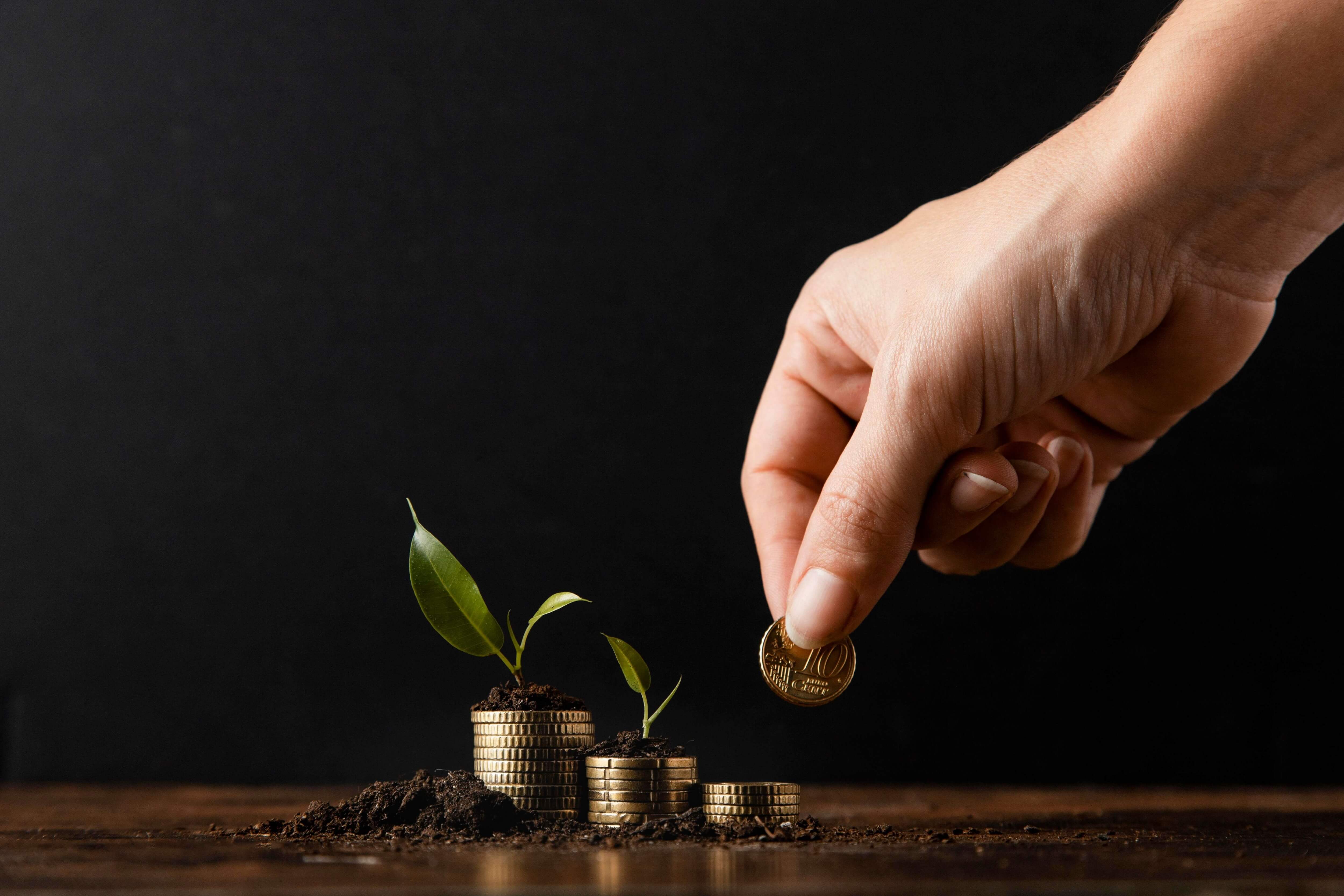 Wealth and Asset Management