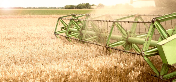 Farmer brand experience