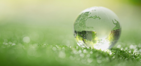 Sustainable practices benchmarking
