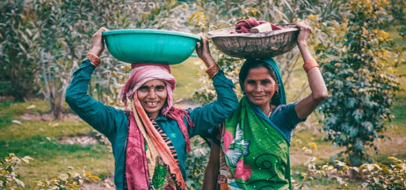 Voice of the farmer